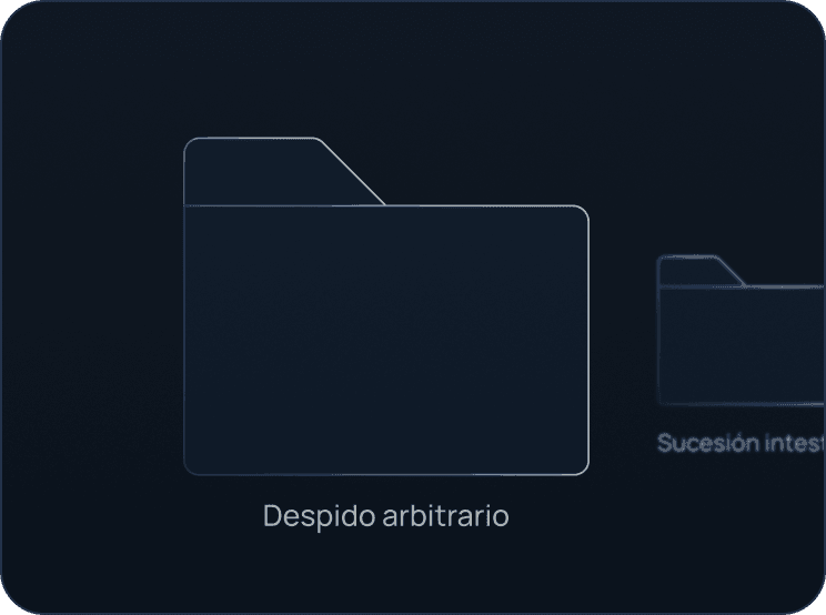 Organización por casos